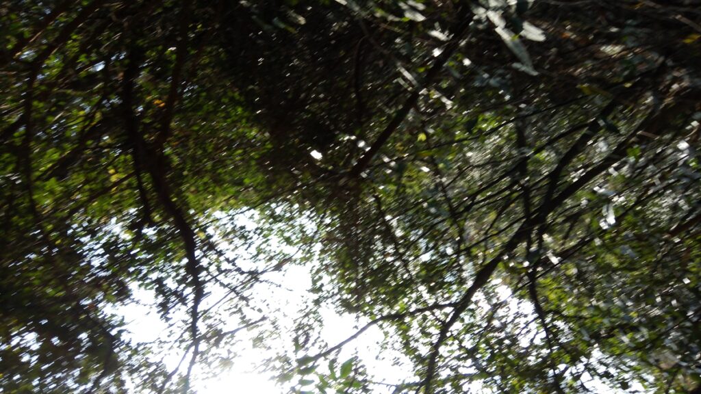 图片[2]-冬月的修山山顶-2016年11月26日-聚微达人